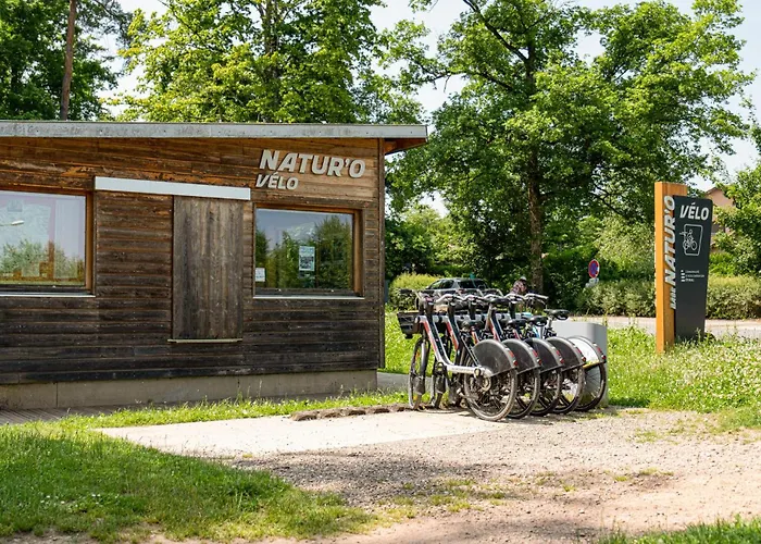 Lovely In With Kitchen * Escles