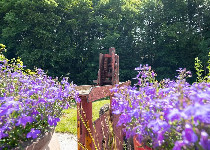 Lovely In With Kitchen Prázdninový dům Escles